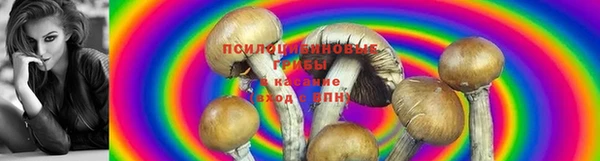 амф Армянск